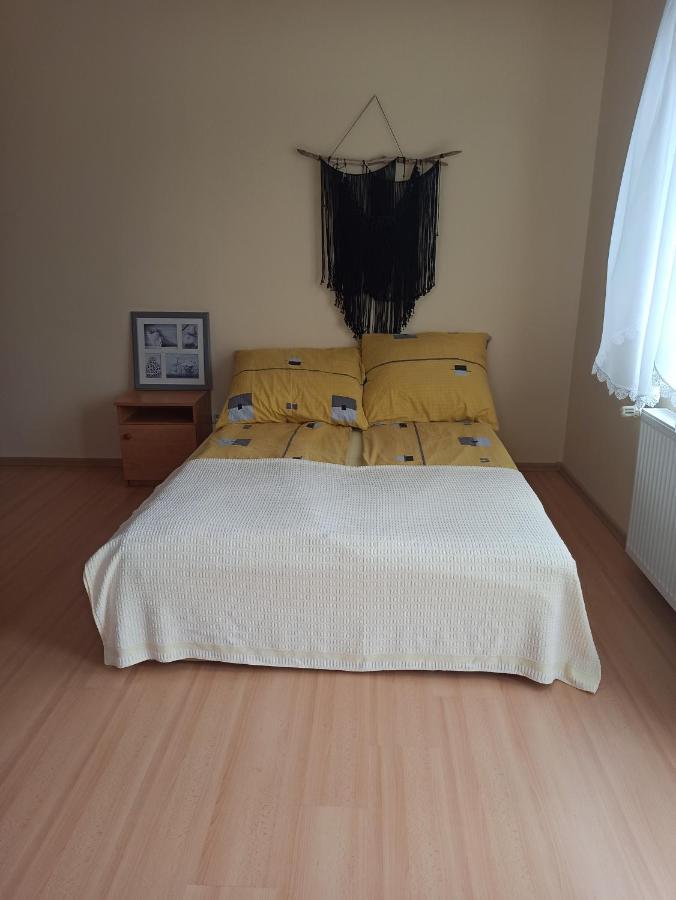 レバルCieply Zakatekアパートメント 部屋 写真